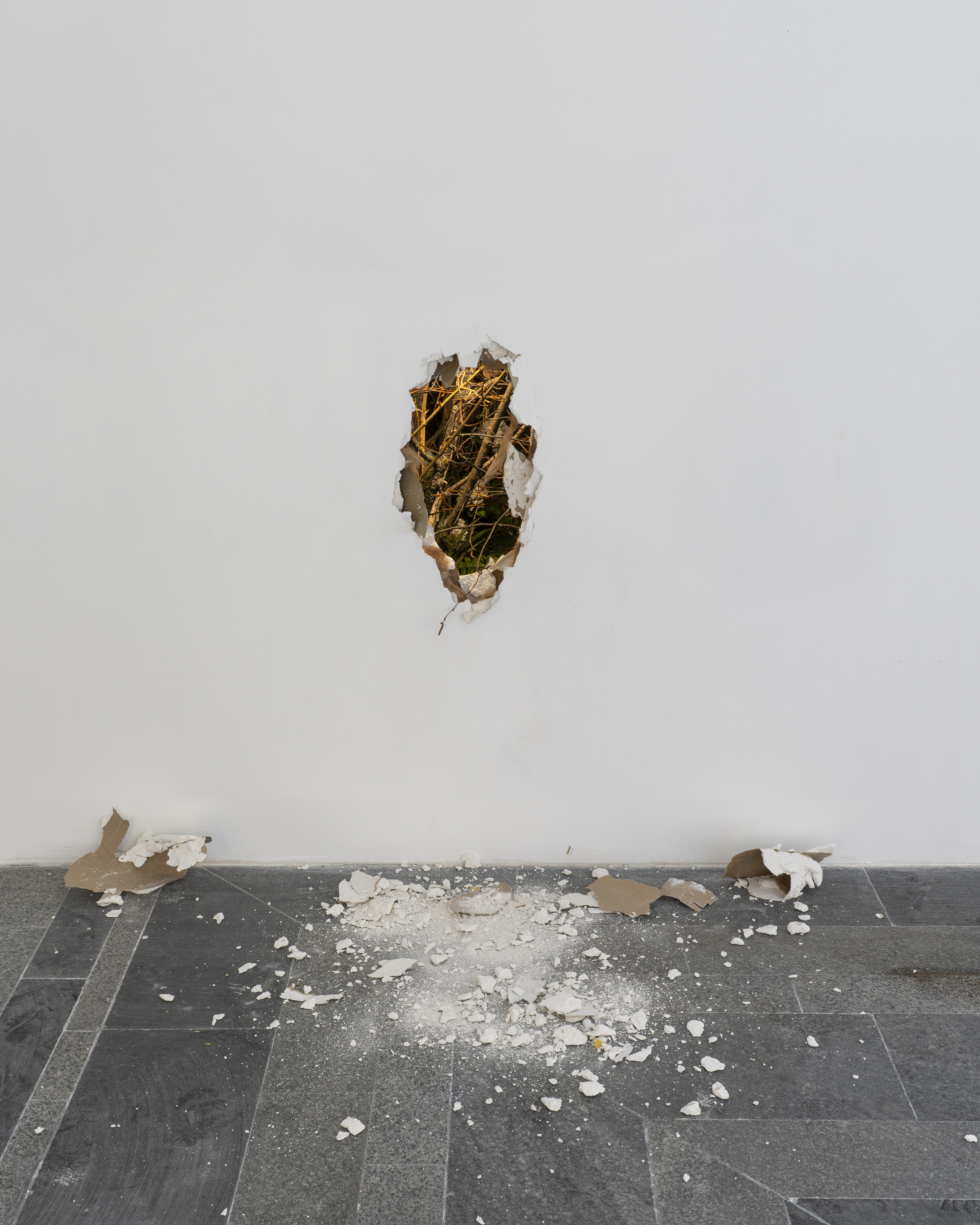 Альваро Урбано Без названия, 2026.